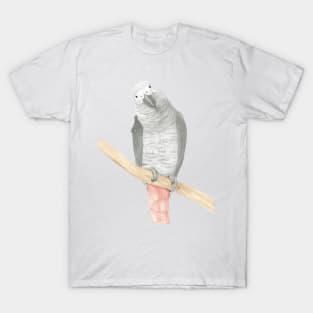 gris d'Afrique watercolor african grey parrot T-Shirt